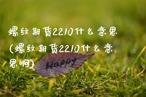 螺纹期货2210什么意思(螺纹期货2210什么意思啊)_https://www.liuyiidc.com_期货品种_第1张