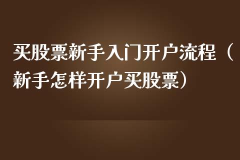 买股票新手入门流程（新手怎样买股票）_https://www.liuyiidc.com_期货理财_第1张