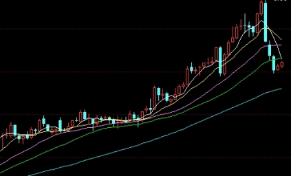 期货棕榈是什么的原料(棕榈油期货大商所什么时候上市的)_https://www.liuyiidc.com_纳指直播_第1张