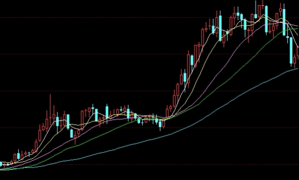 期货市场可质押资金什么意思(期货可质押资金是什么意思)_https://www.liuyiidc.com_股票理财_第1张