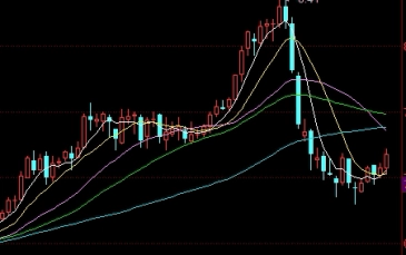 油脂期货弱势难改(油脂期货为什么大涨)_https://www.liuyiidc.com_期货品种_第1张